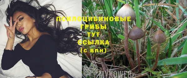 тгк Горняк