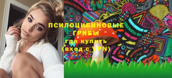 тгк Горняк