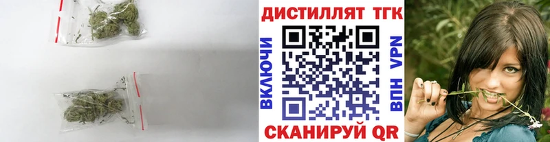 Купить закладки  Пучеж  Дистиллят ТГК жижа 