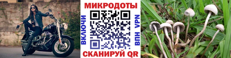 Псилоцибиновые грибы мицелий  Купить  Пучеж 